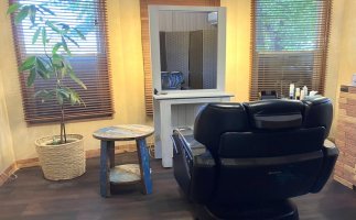 あおいろかぶとむしの紹介画像