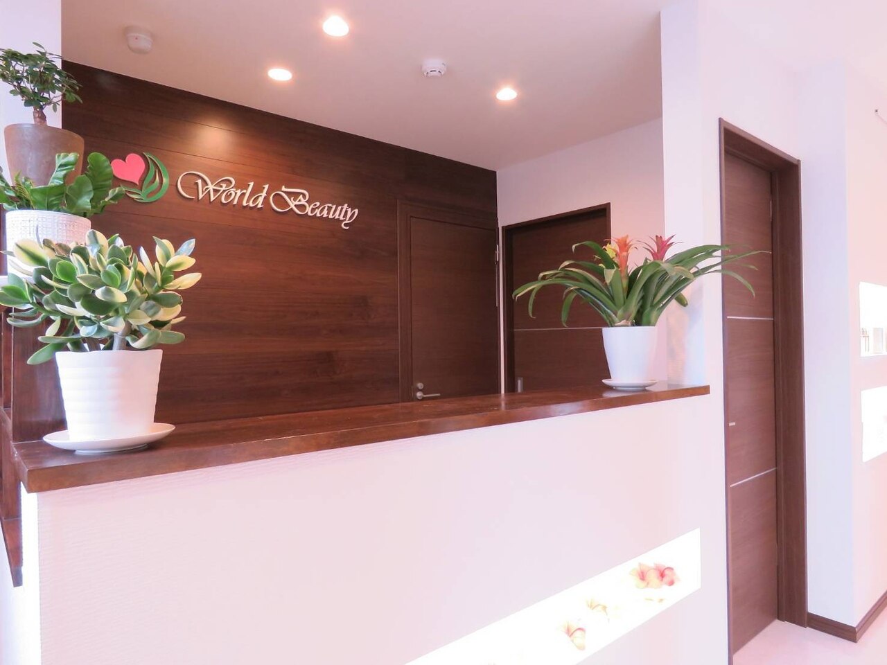ワールドビューティー(World Beauty)の紹介画像